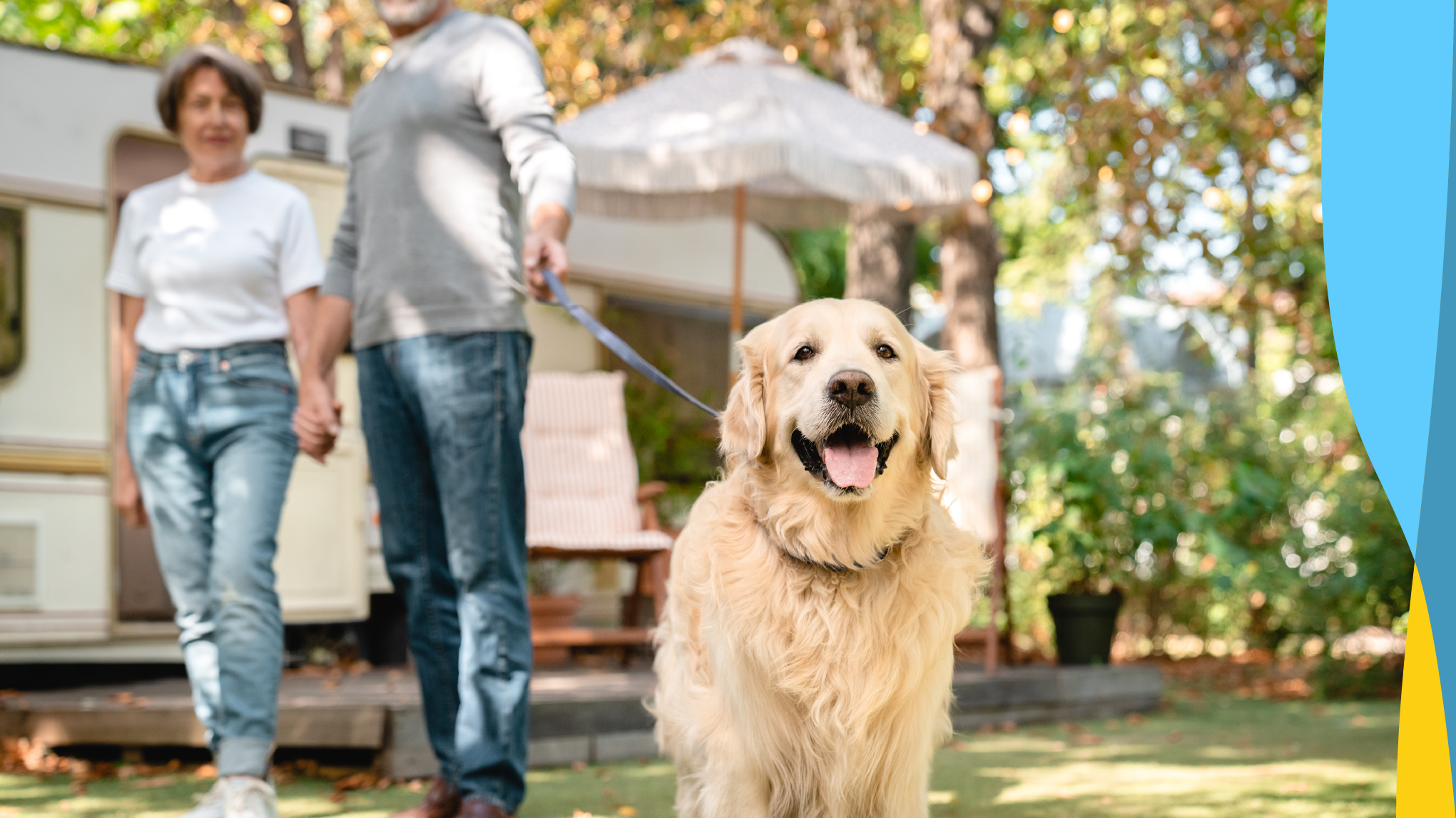 Woman and man blurred in the background with a golden retriever in the foreground outside.