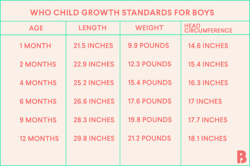 Baby Growth Chart Tracking Baby S Development
