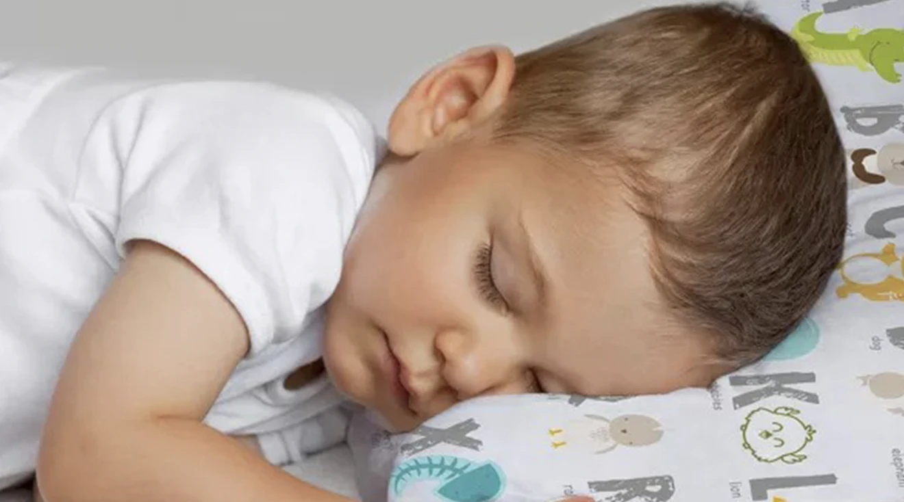 7 Best Toddler Pillows Of 2024 Tested And Reviewed   Best Toddler Pillows For A Comfy Night Of Sleep Hero.webp