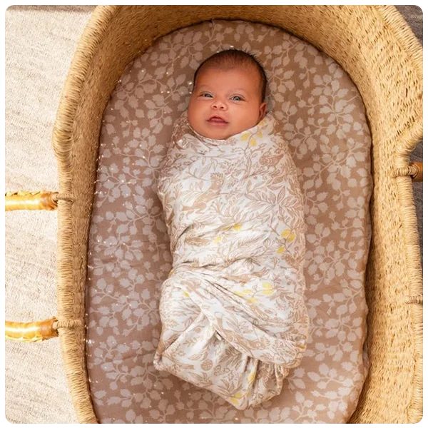 aden + anais Boutique Silky Soft Swaddles