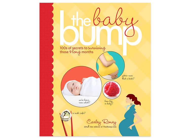 Pregnancy Books: 35 Best Pregnancy Books