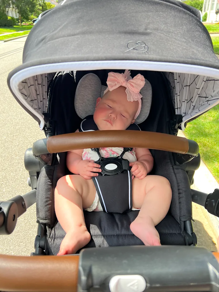 The Best Triple Strollers