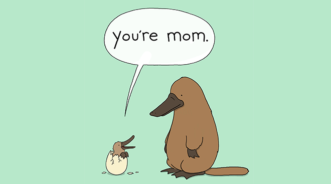 you're mom illustrated humorous book cover