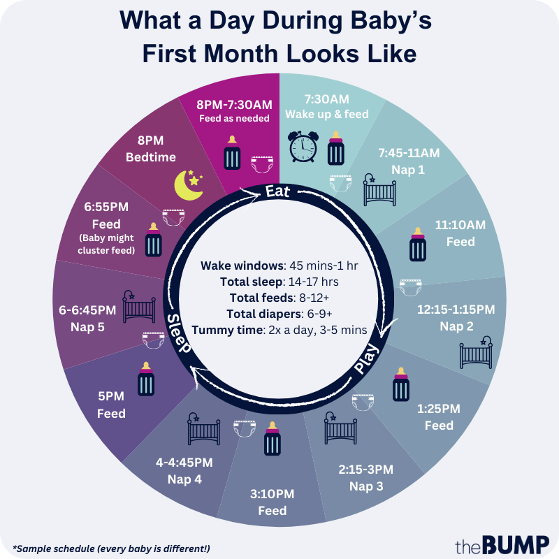 newborn baby schedule
