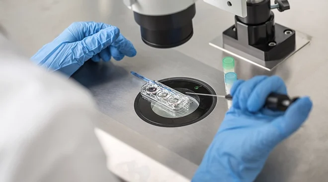 scientist performing in vitro fertilization procedure