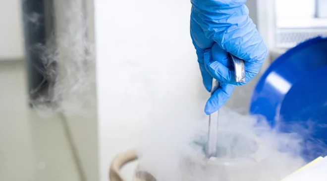 hand in medical glove opening liquid nitrogen tank where eggs are frozen