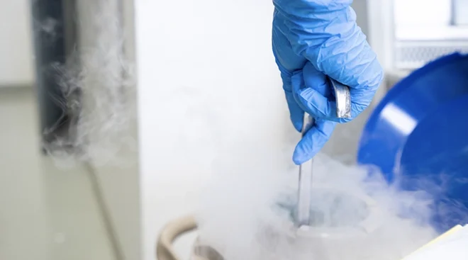 hand in medical glove opening liquid nitrogen tank where eggs are frozen