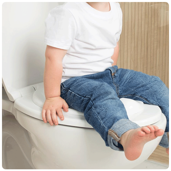 Jool Baby Quick Flip Toilet Seat with Built-In Potty Training Seat