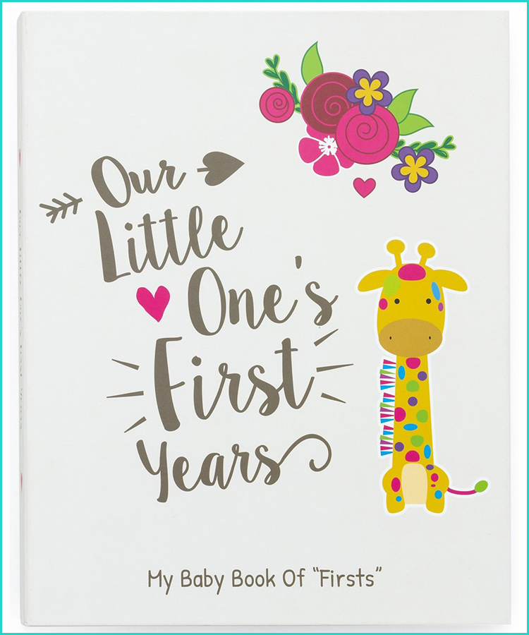 twin baby record book