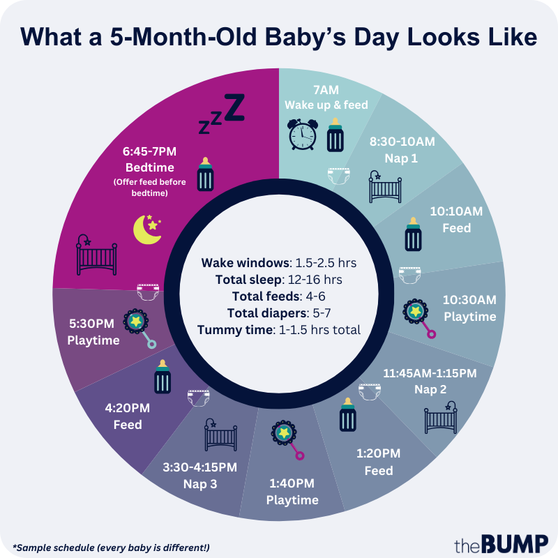 5 month old baby schedule