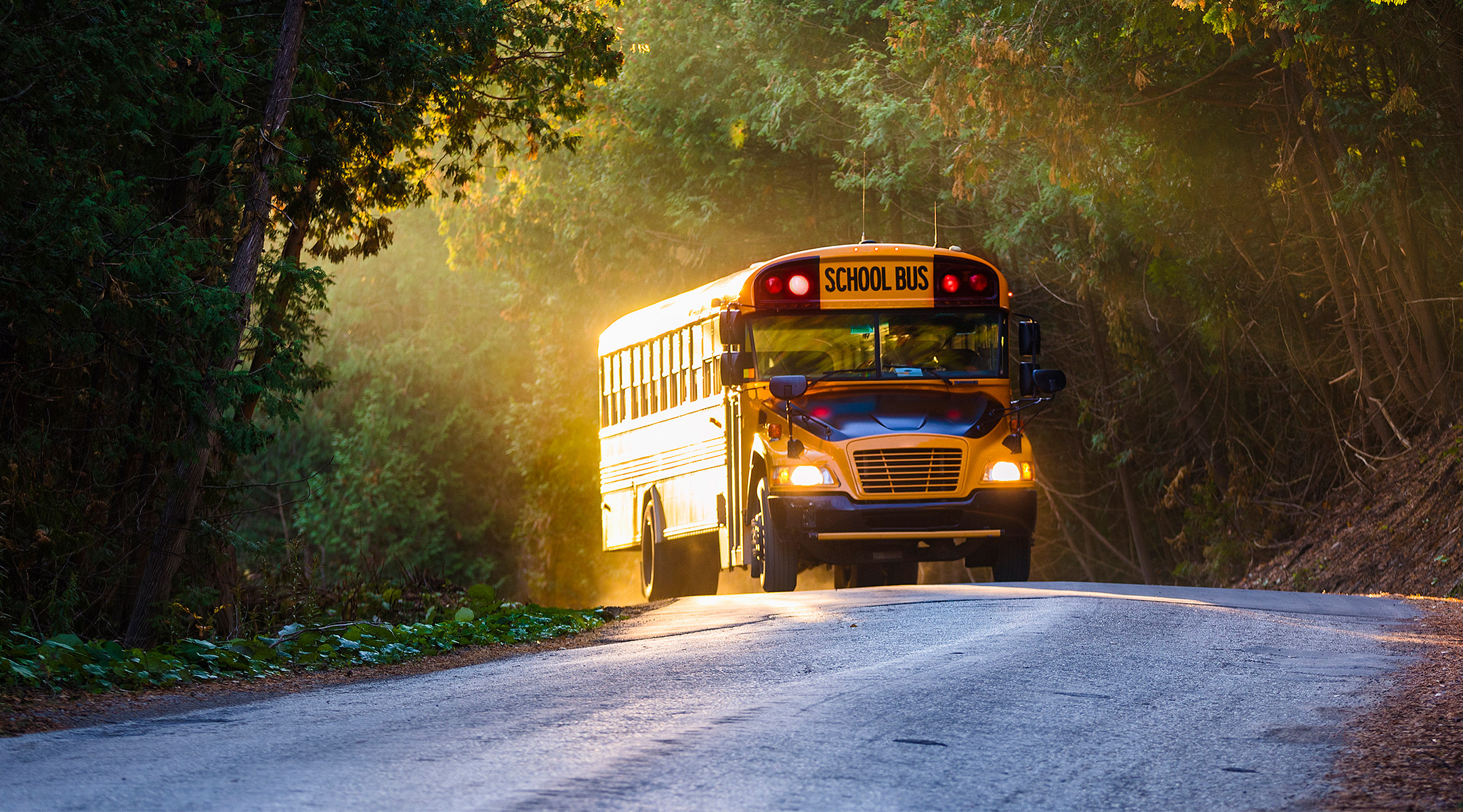 school bus driving down pretty fall drive