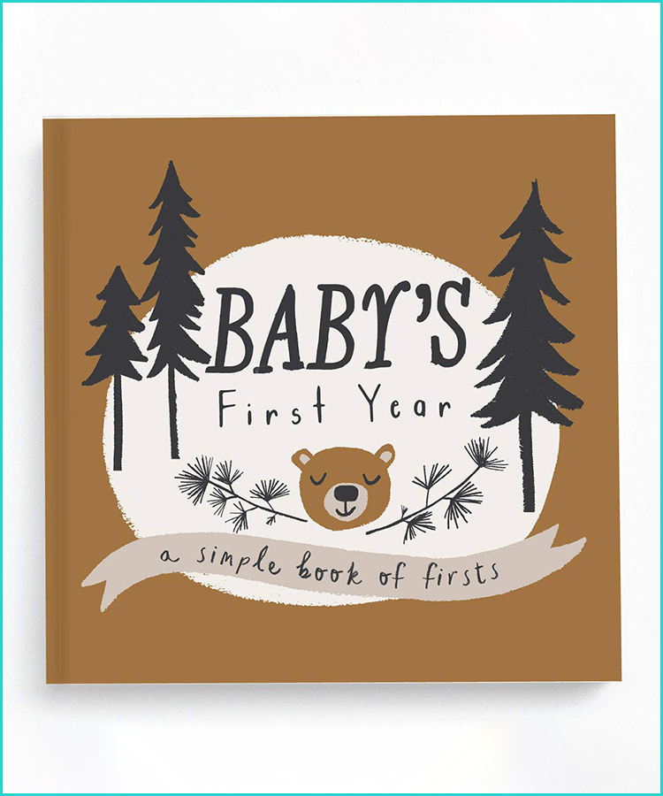 baby's first year book