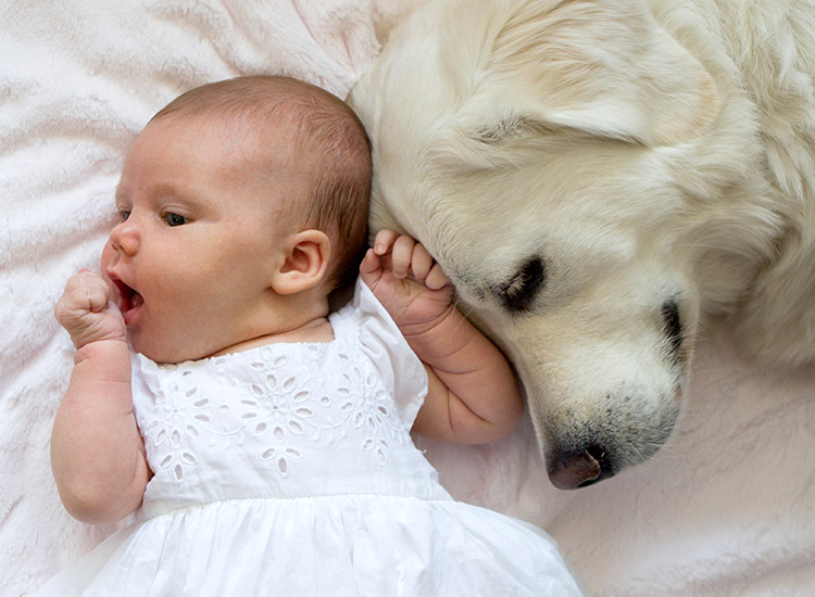 dog and baby photoshoot