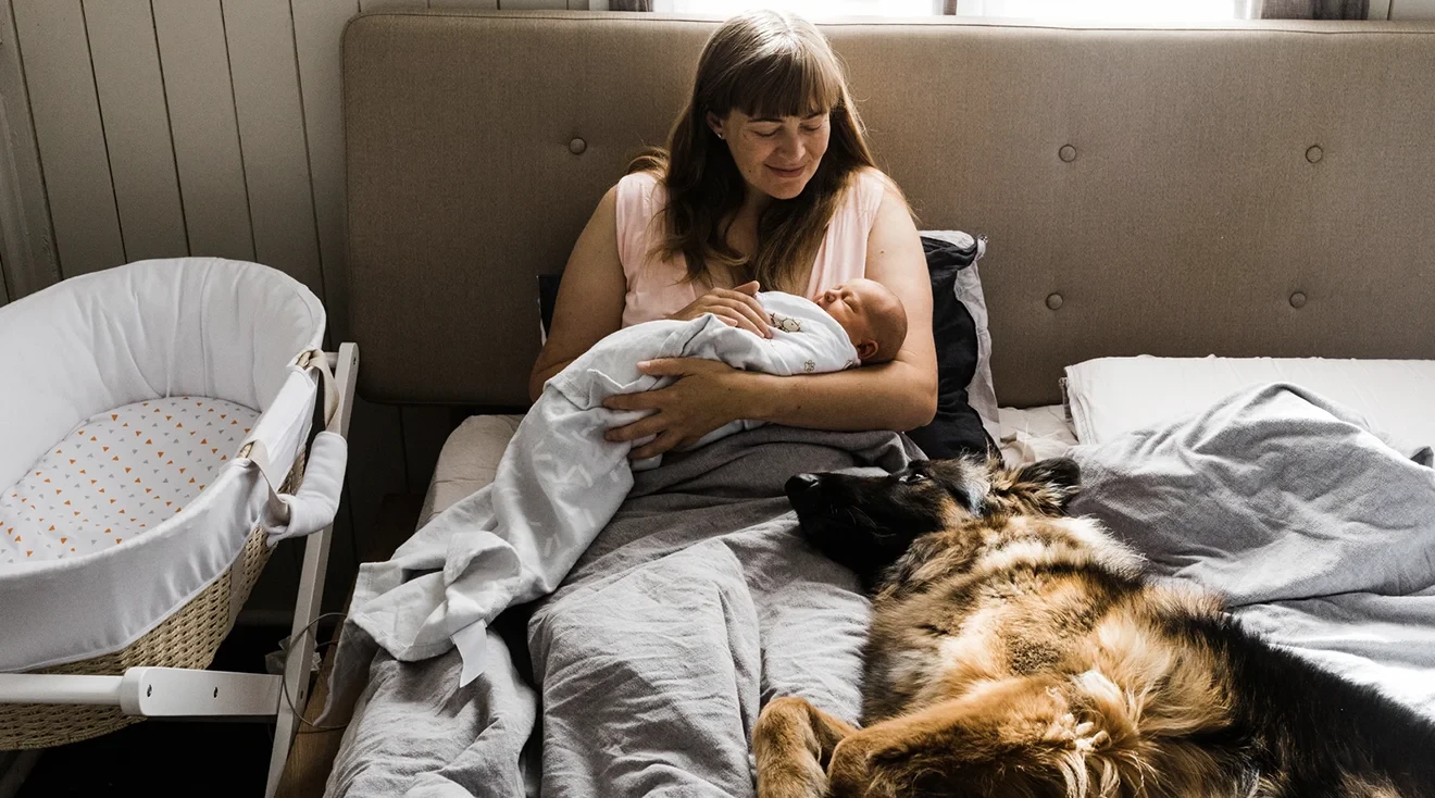 new mother sitting in bed at home with newborn baby and dog 