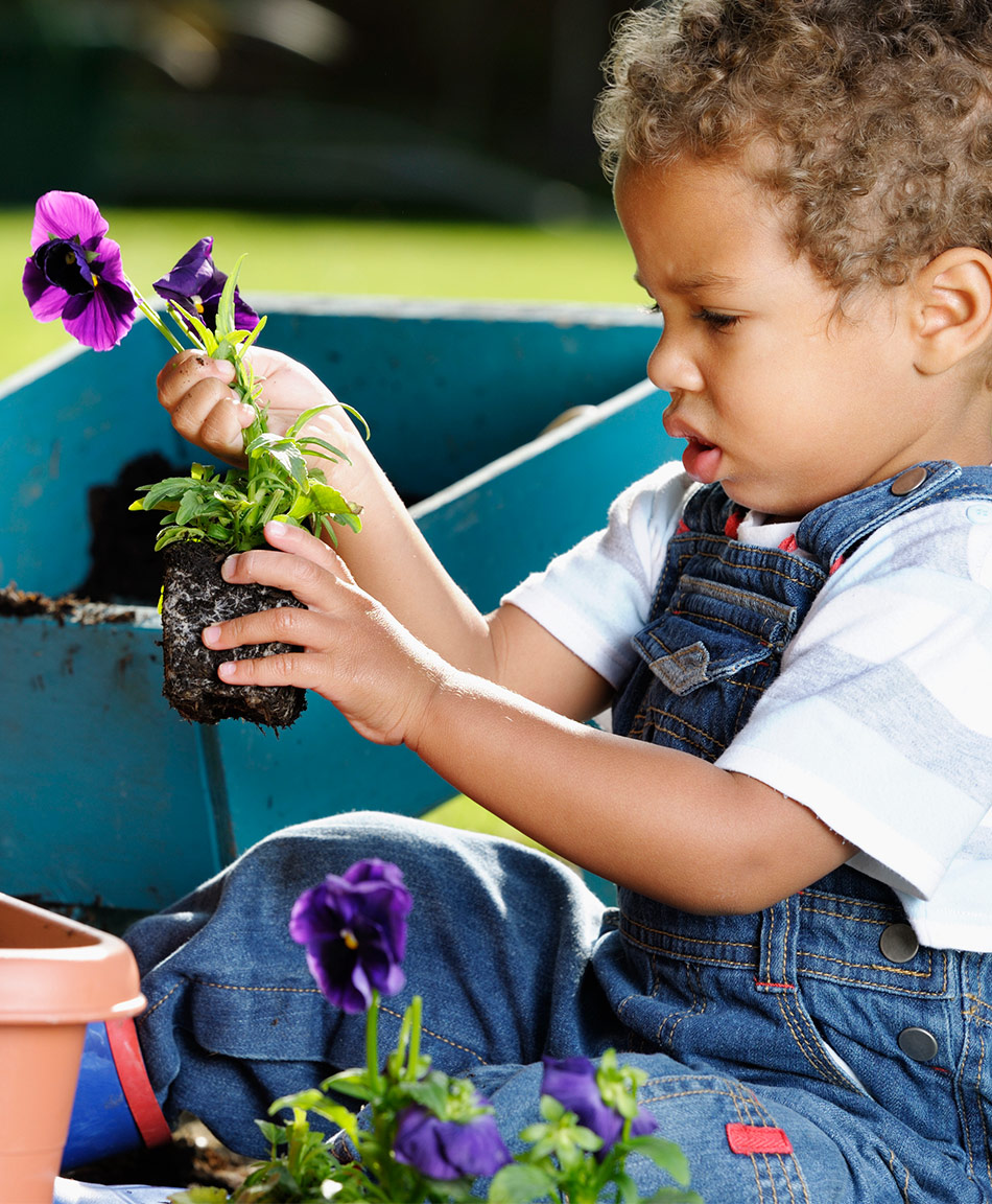 Garden store activity toys