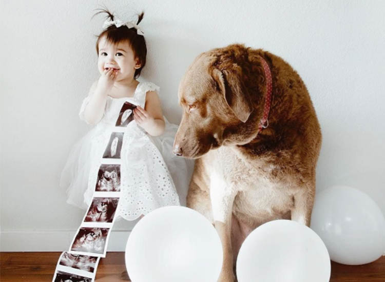 baby and dog photography