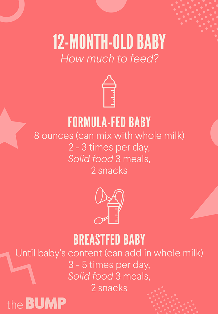 One Year Old Baby Food Chart
