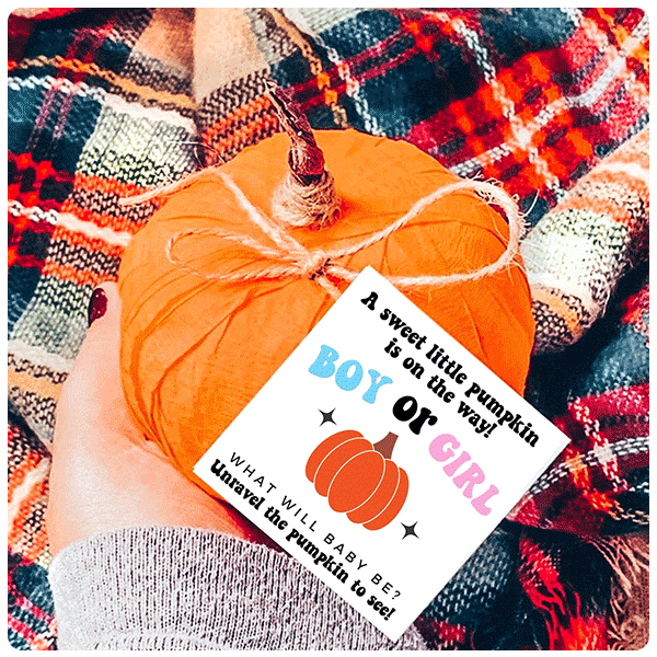 Jolly Rae Gender Reveal Pumpkin Surprise Ball