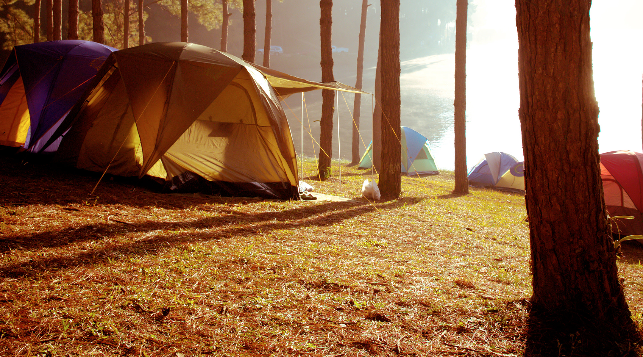 Tents in trees by a lake