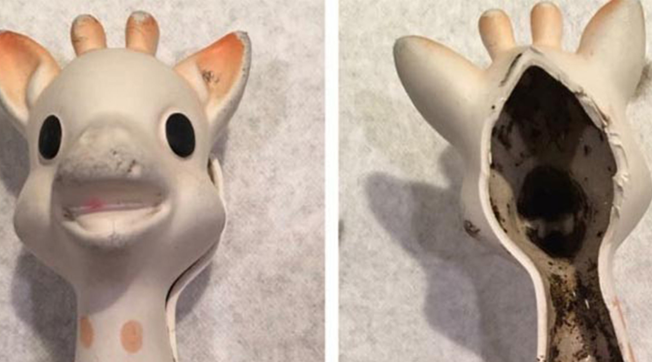 Moldy Sophie la Girafe teething toy