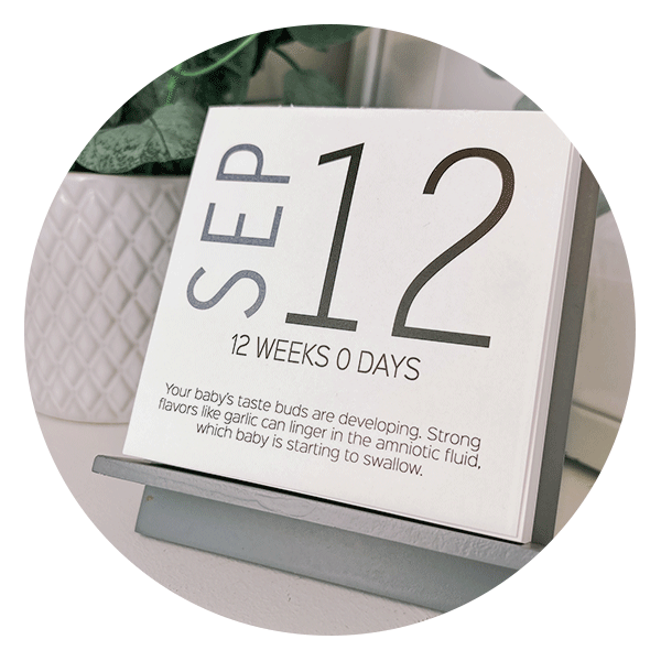 Waypost Paper Baby Countdown Calendar