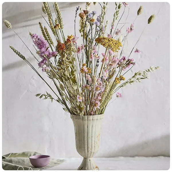 Anthropologie Dutch Field Mix Dried Bouquet
