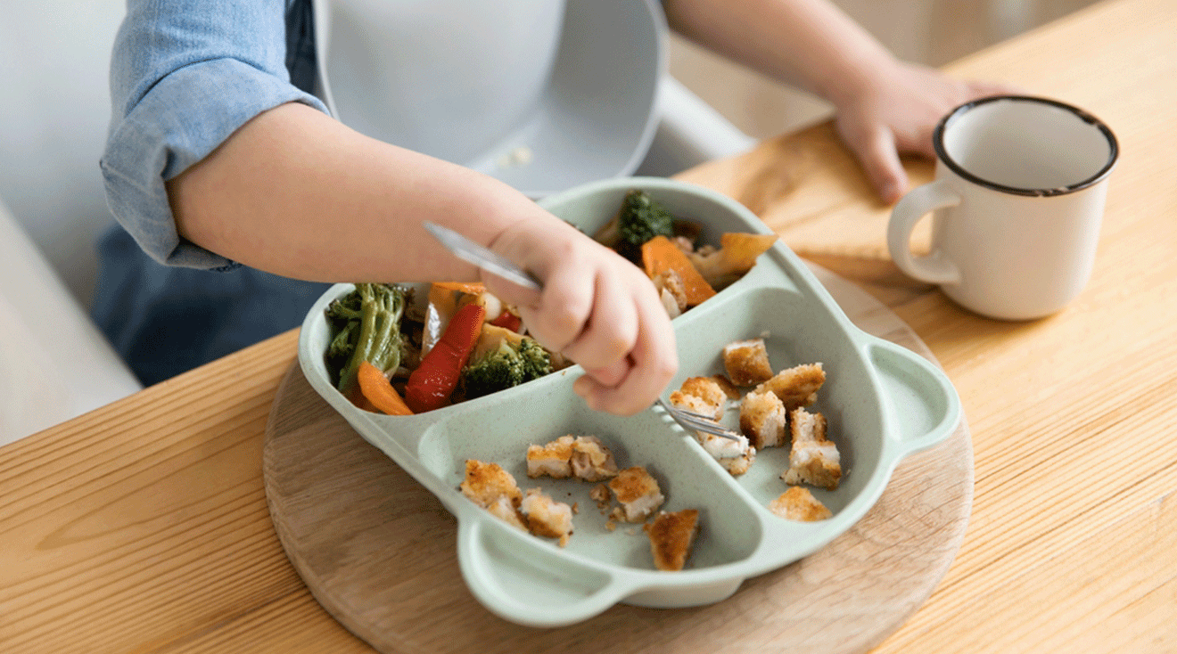 toddler food plate