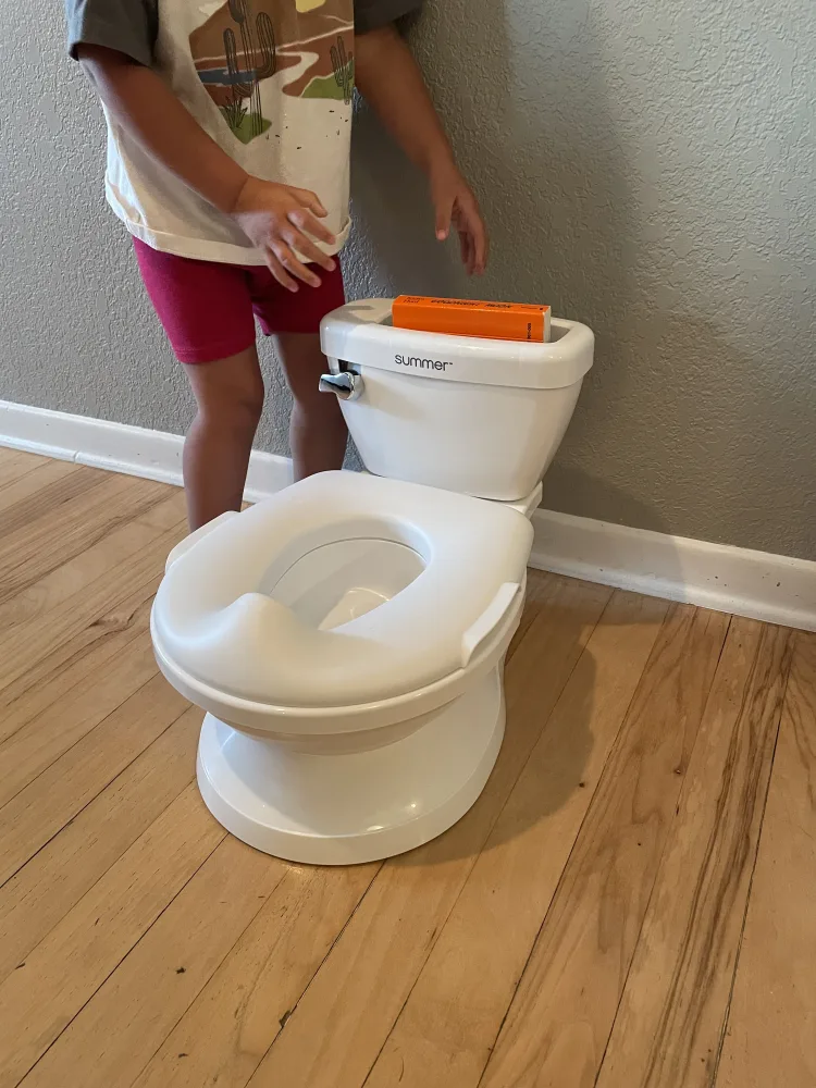 Potty Training Products and Must-Haves: Seats, Targets, and More