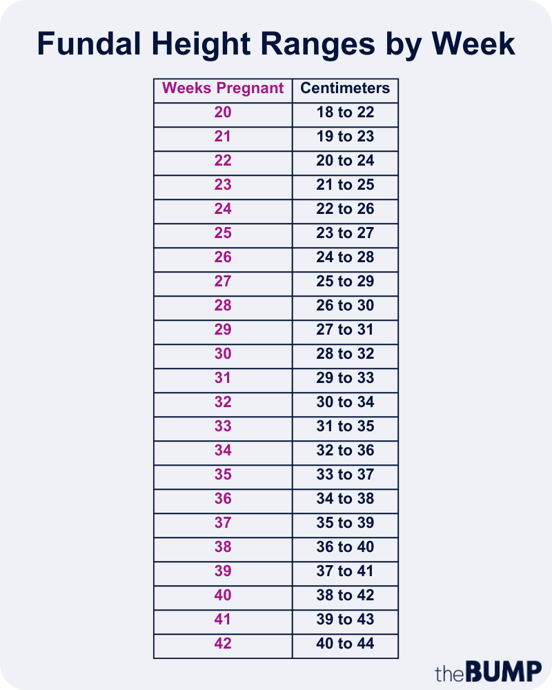 What Are Fundal Height Measurements In Pregnancy?