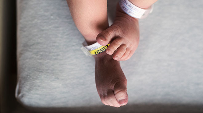 Newly born baby's feet at the hospital. 