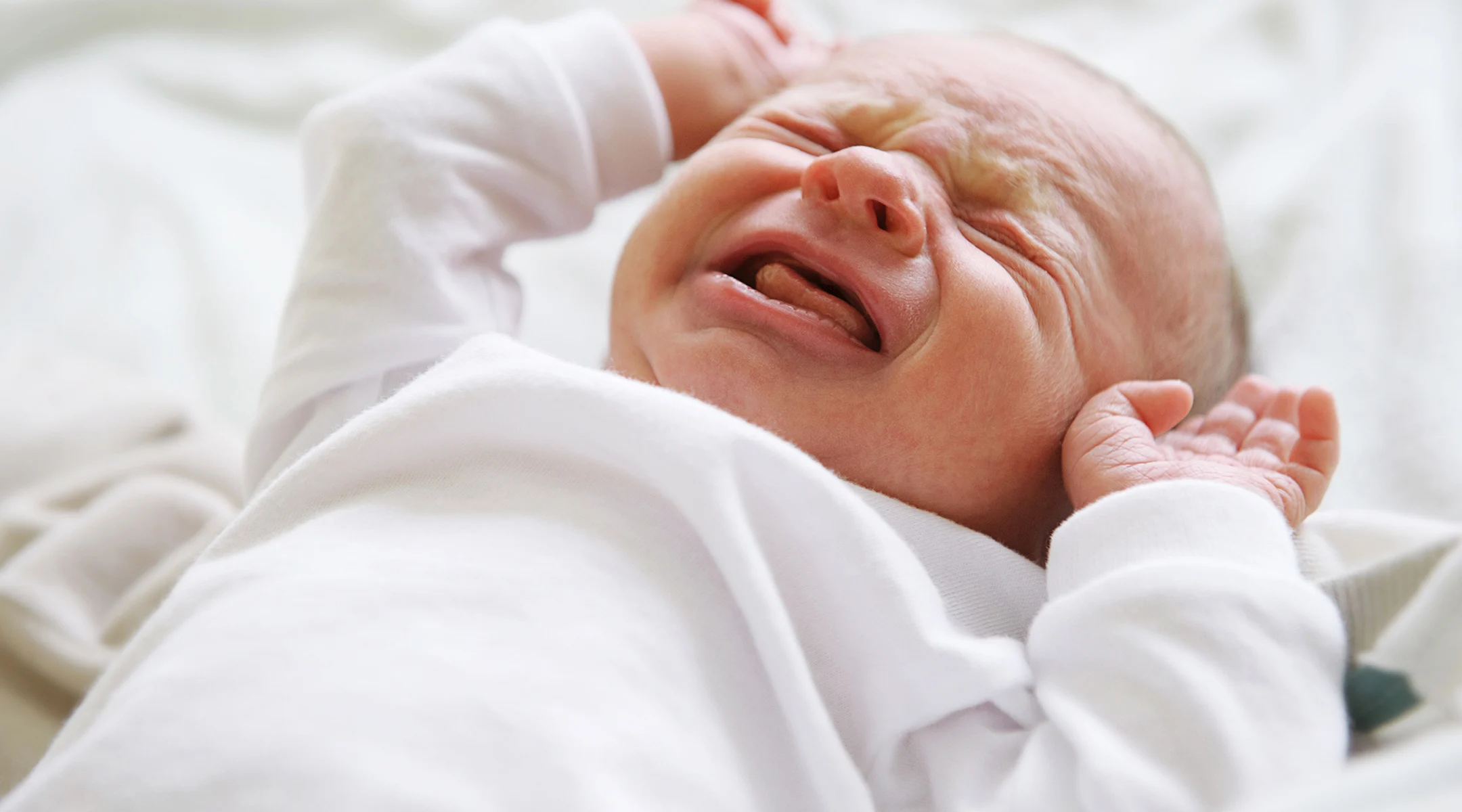 Will Probiotics Solve Baby’s Colic Problem?