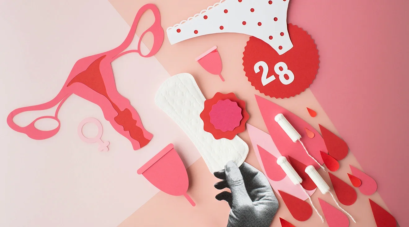 illustrative image of a woman's menstrual cycle