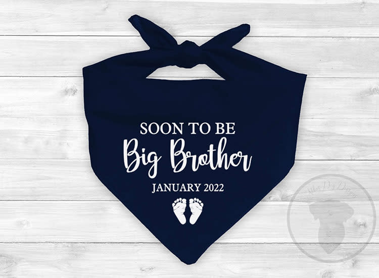 And Then There Were Four svg, New Baby svg, Pregnancy Announcement svg,  Baby Onesie svg, Dog svg, Family Of Four svg, Baby Shower Gift svg
