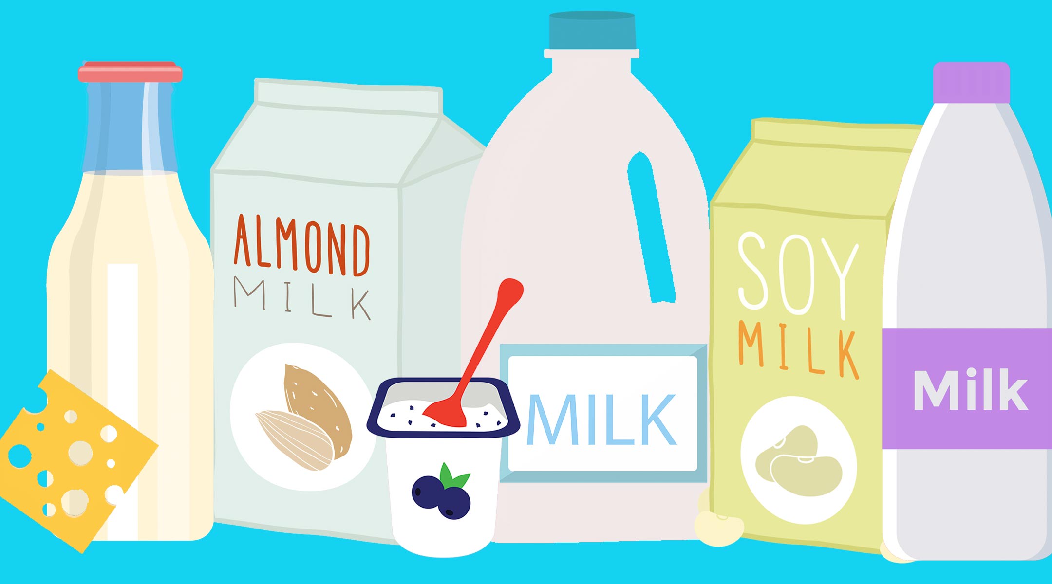 All different kinds of protein for toddlers including cow's milk, soy milk, almond milk yogurt and cheese. 
