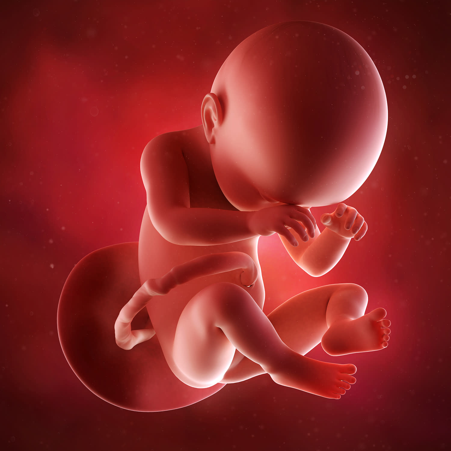 Малыш на 37 неделе. Эмбрион на 37 неделе беременности. Младенец в утробе.