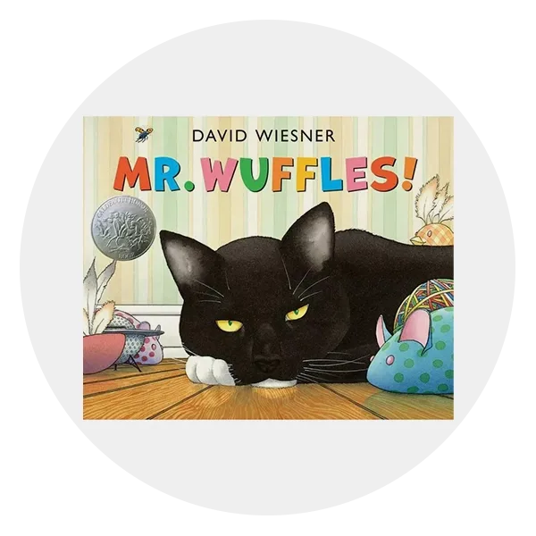 *Mr. Wuffles* by David Wiesner 