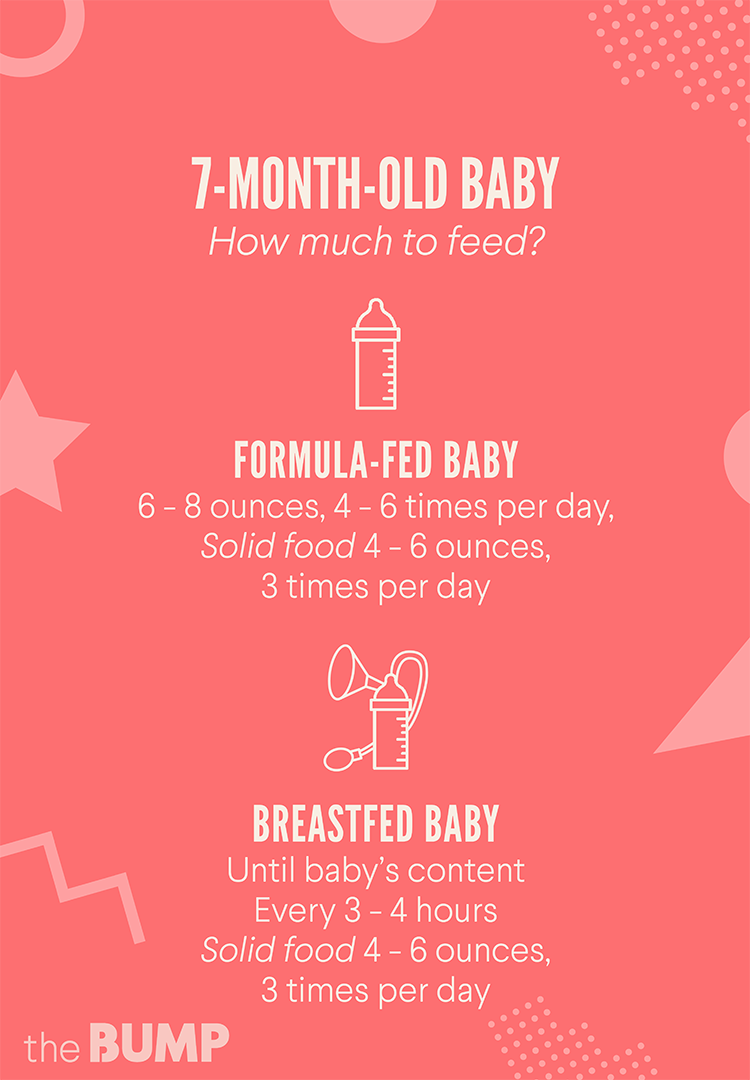 What foods can i give my 8 month old baby 7 Month Old Baby