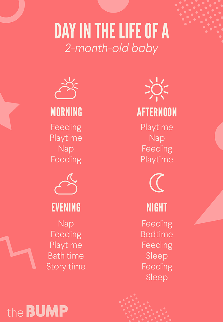 2 Month Old Feeding Chart
