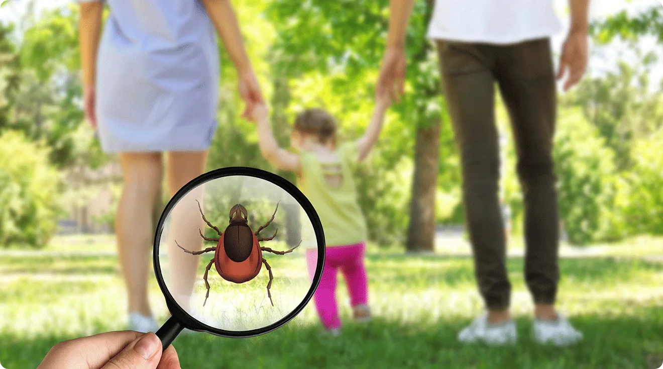 family walking outside in park with magnifying glass showing tick