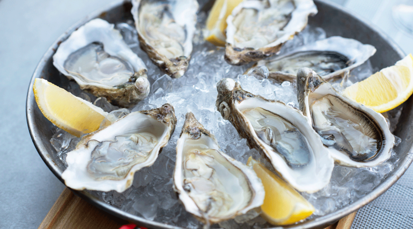 oysters on ice