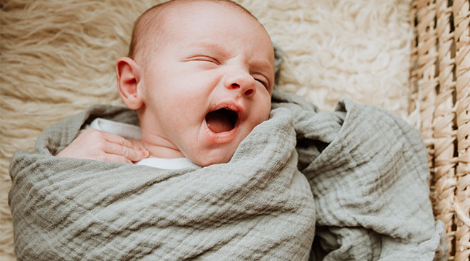 Newborn baby yawning while swaddled. 