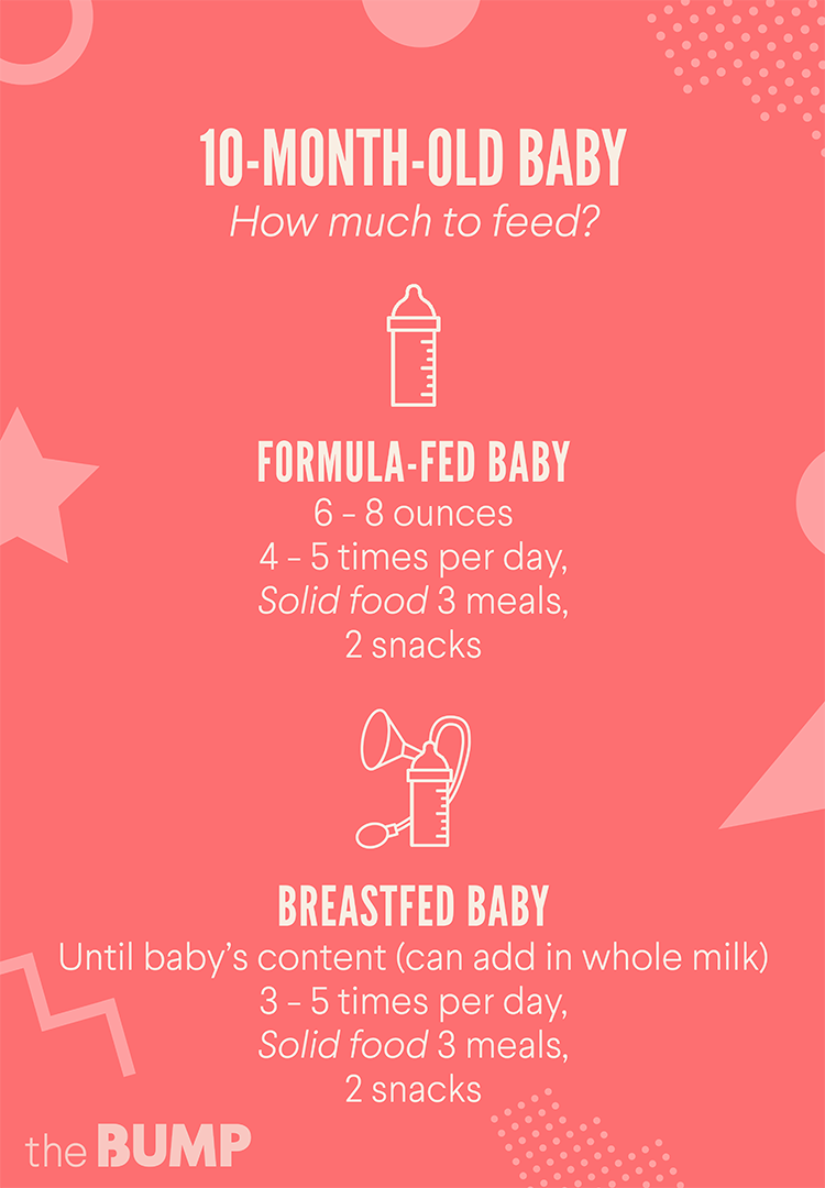 10 Month Old Baby Food Chart