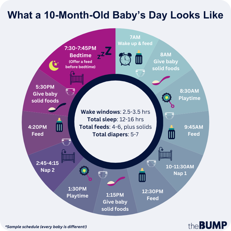 10 month baby schedule