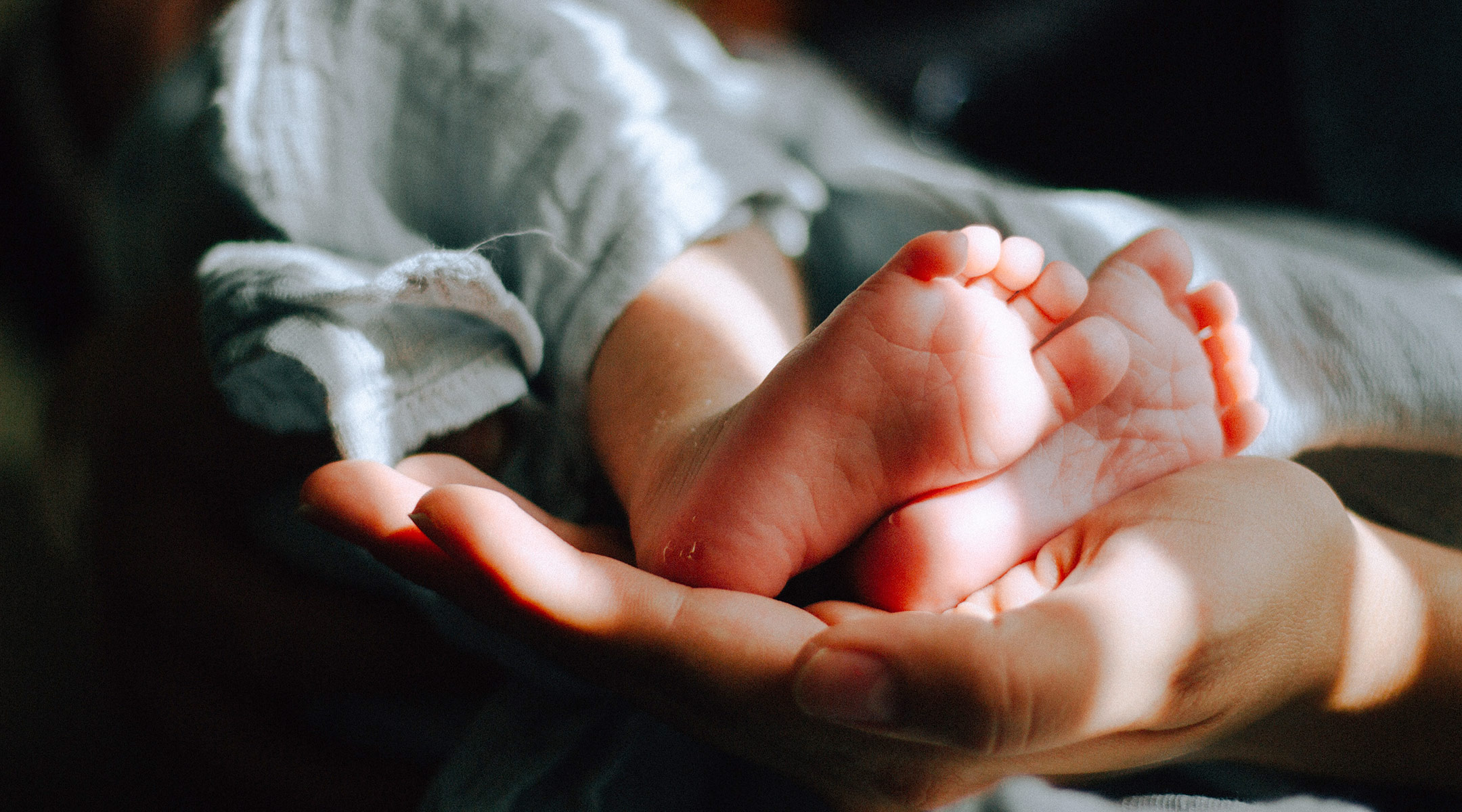 hands holding newborn baby feet