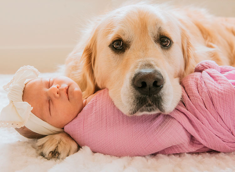 baby and dog photography