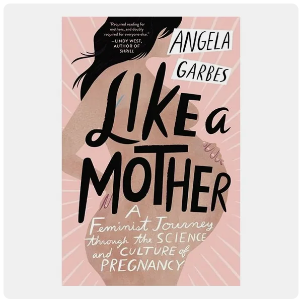 Like a Mother: A Feminist Journey Through the Science and Culture of Pregnancy by Angela Garbes