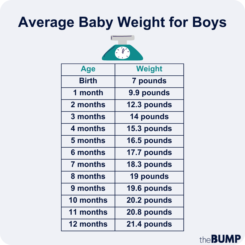 Average Baby Weight at Birth and By Month