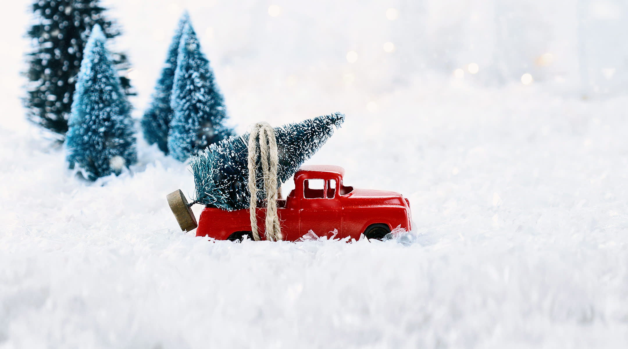 Amazon Will Deliver a Christmas Tree Right to Your Door