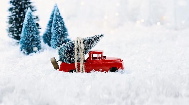 amazon now delivers christmas trees