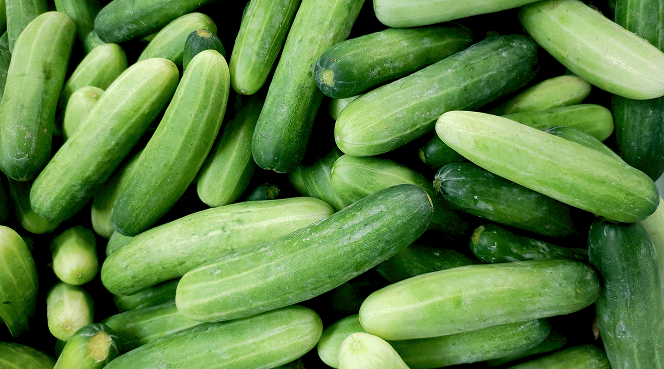 fresh whole cucumbers